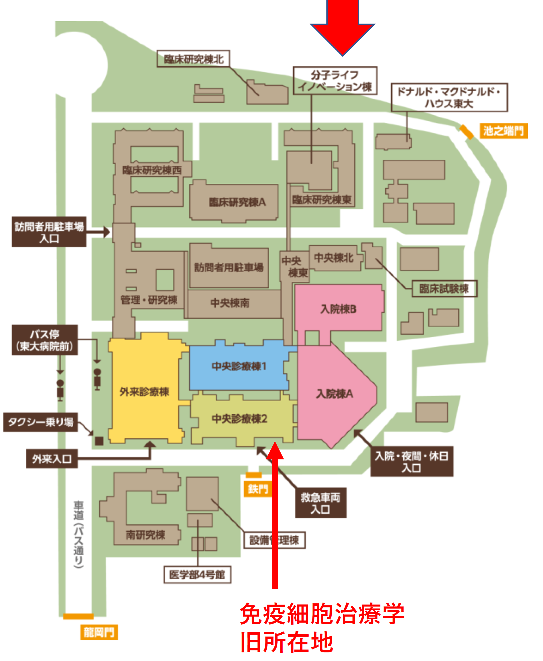 東京大学医学部附属病院　分子ライフイノベーション棟地図