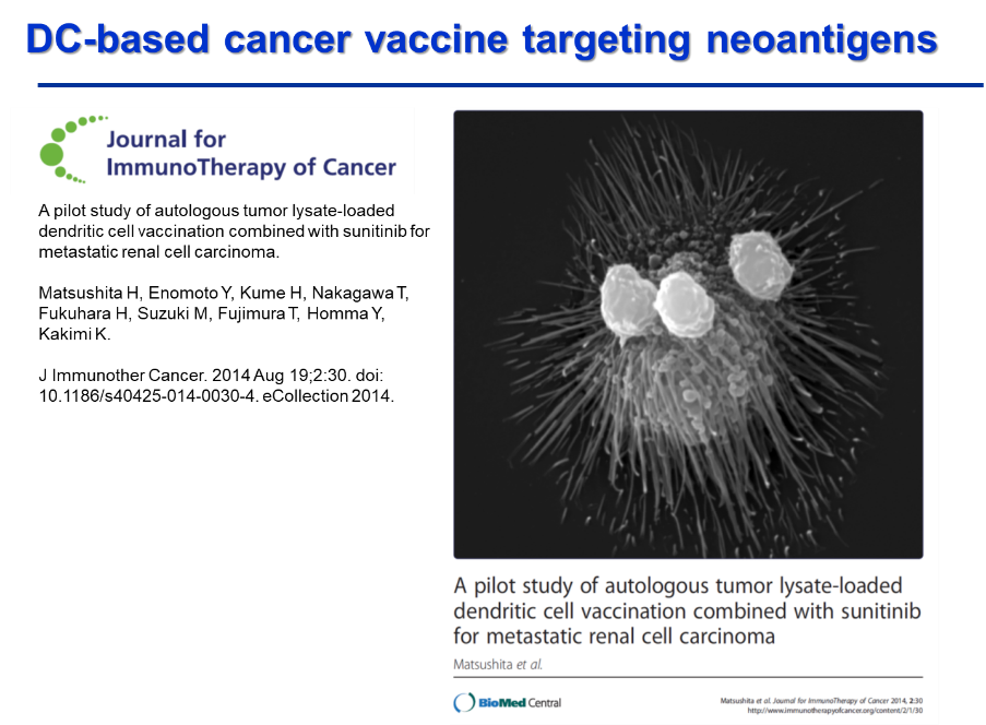 DC-based cander vaccine targeting neoantigens